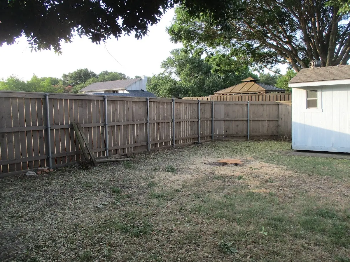 Cleared yard after professional tree removal in Marysville