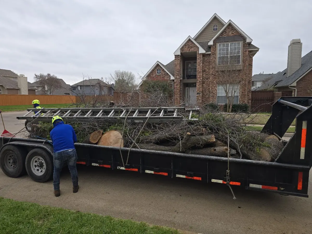 Expert Lot Clearing with proper safety equipment in Marysville